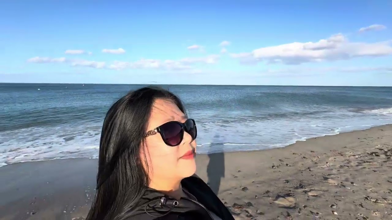 A walk at Bray Beach Ireland 🇮🇪