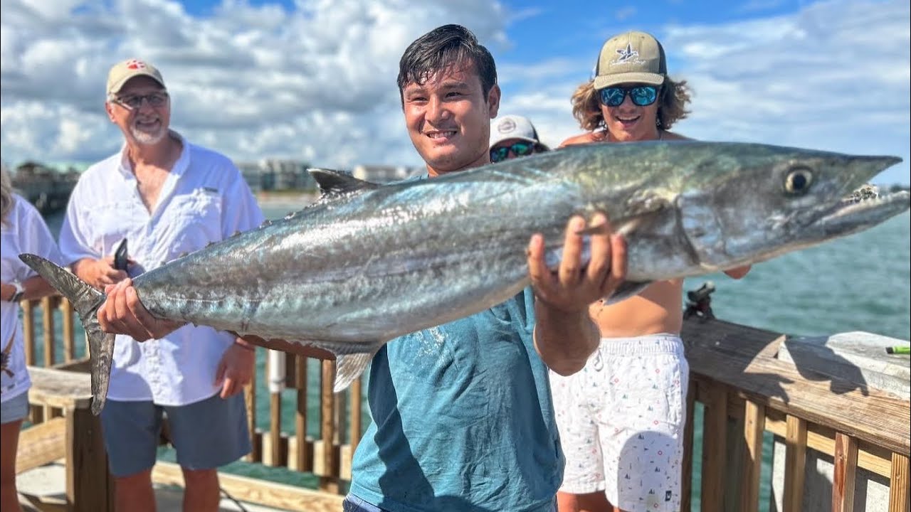 King mackerel Fishing on Folly Beach Pier (King,Spanish mackerel, Hammerhead shark)