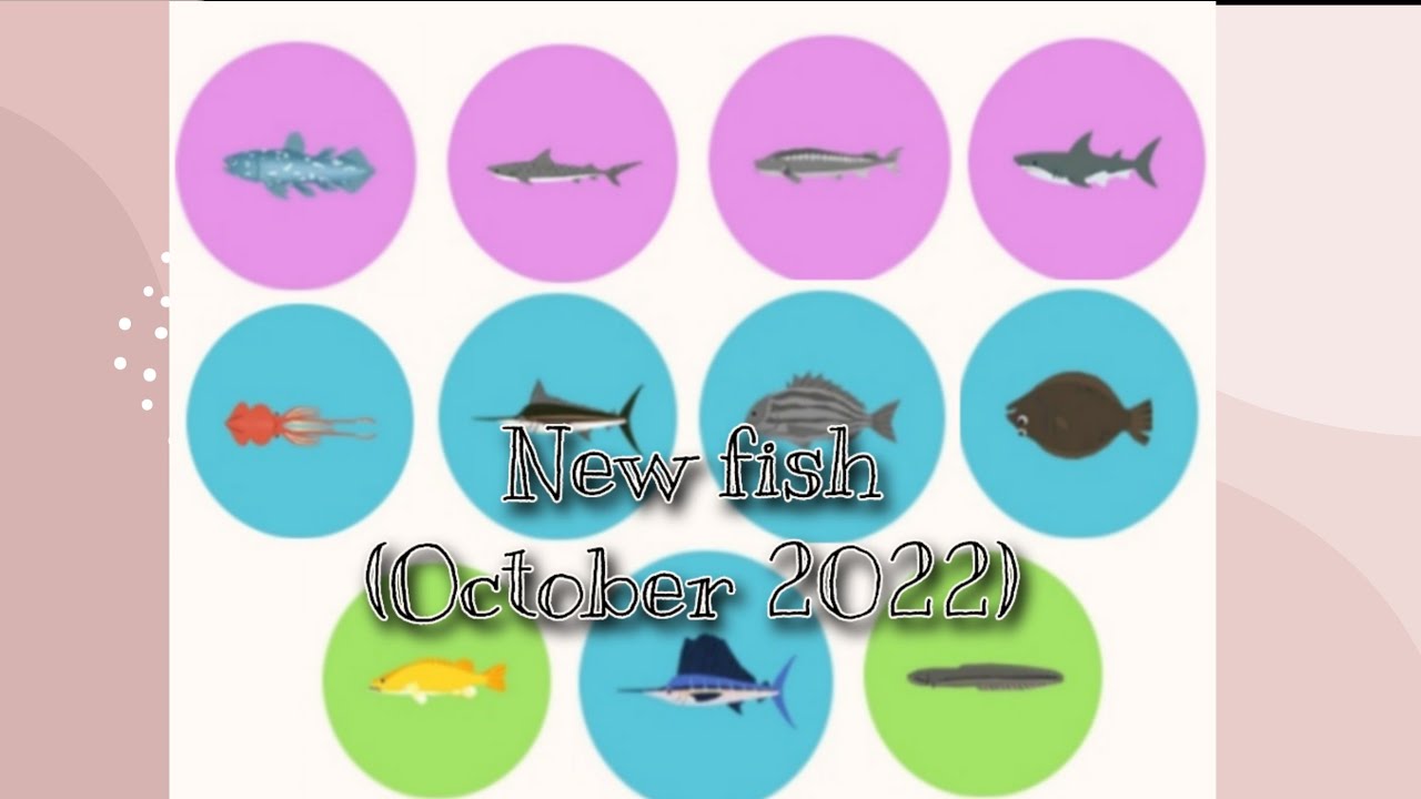 Play Together | Legendary big fish fishing in the blue hole and sea