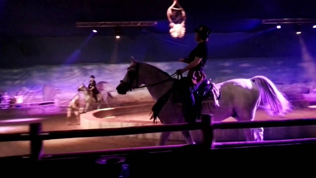 Paardenshow Slagharen