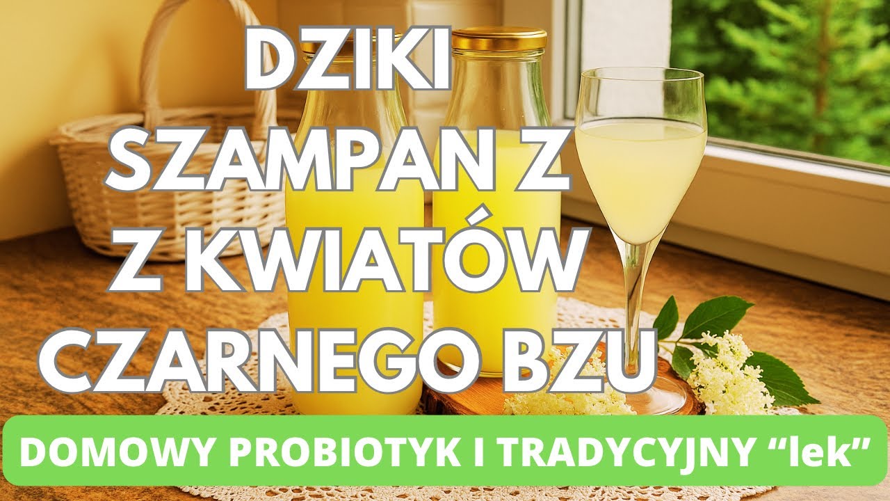 Dziki szampan z kwiat&oacute;w czarnego bzu. Domowy probiotyk i tradycyjny &bdquo;lek&rdquo;.