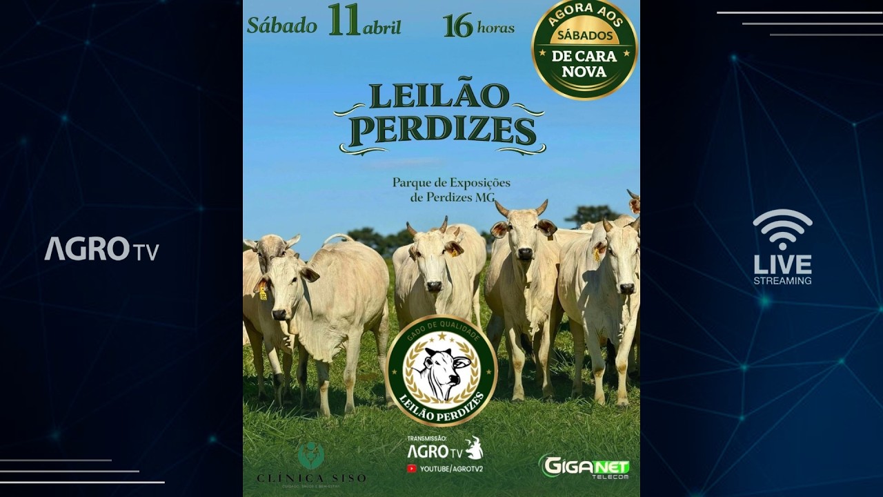 LEIL&Atilde;O PERDIZES - 11/04/2026