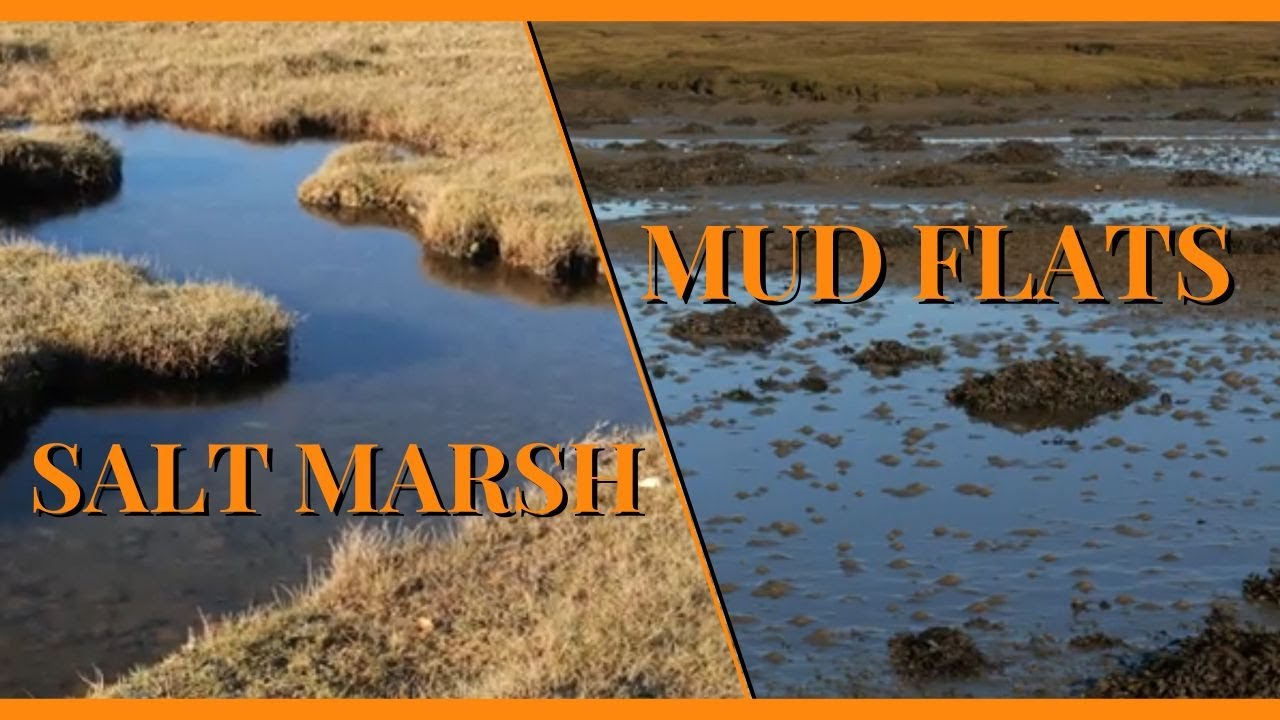 Nearly Wild Camping - Salt Marsh, Mud Flats