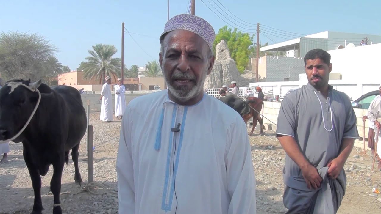 هبطة حبراء /عيد الاضحى ١٤٣٤... حكاية عن ألف حكاية
