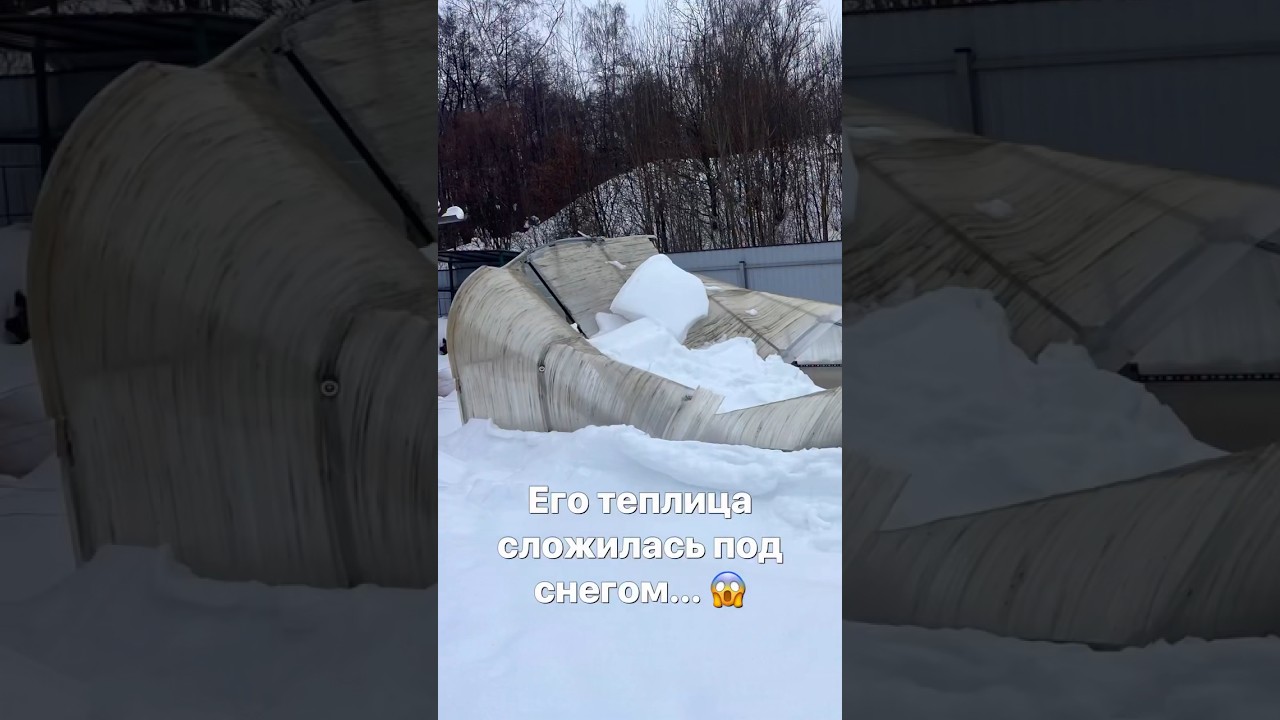 НЕ покупайте теплицу, пока не посмотрите это!