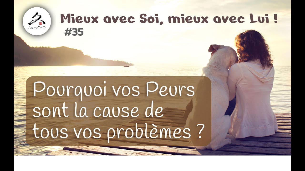 #35 - Quel lien entre Peurs et blocage de l'&eacute;nergie du Foie en M&eacute;decine Chinoise ?