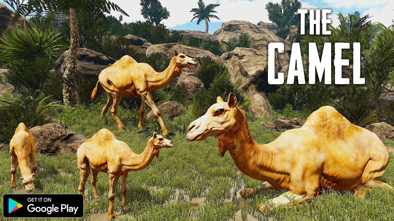 The Camel   Animal Simulator