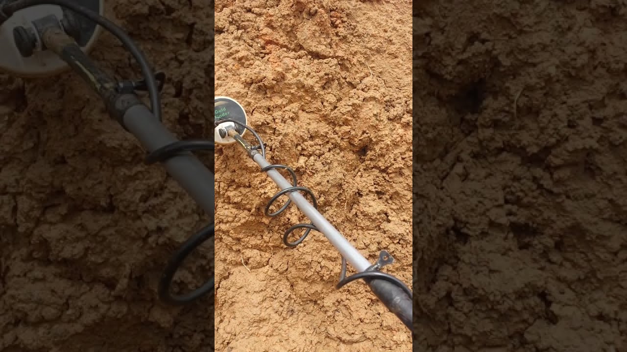 Detectorismo  do dia 24/01/26...Voltei na antiga área onde as Máquinas estão Desaterrando..