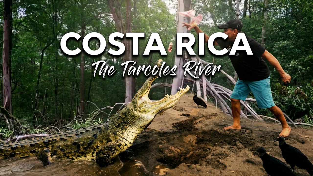 Costa Rica&rsquo;s Crocodile Kingdom: Exploring the T&aacute;rcoles River