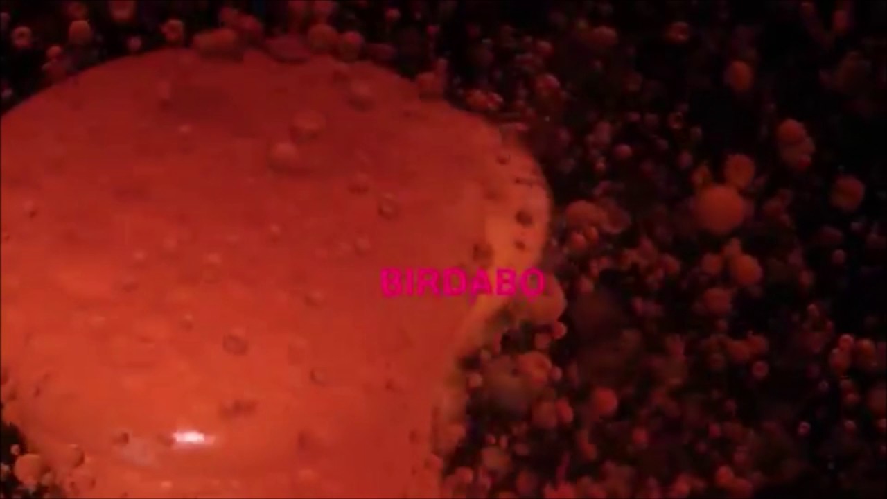 audace - Retour (PewDiePie BIRDABO Outro Song)