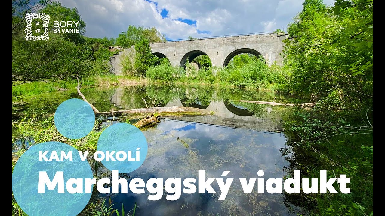 Kam v okolí štvrte Bory - Marcheggský viadukt