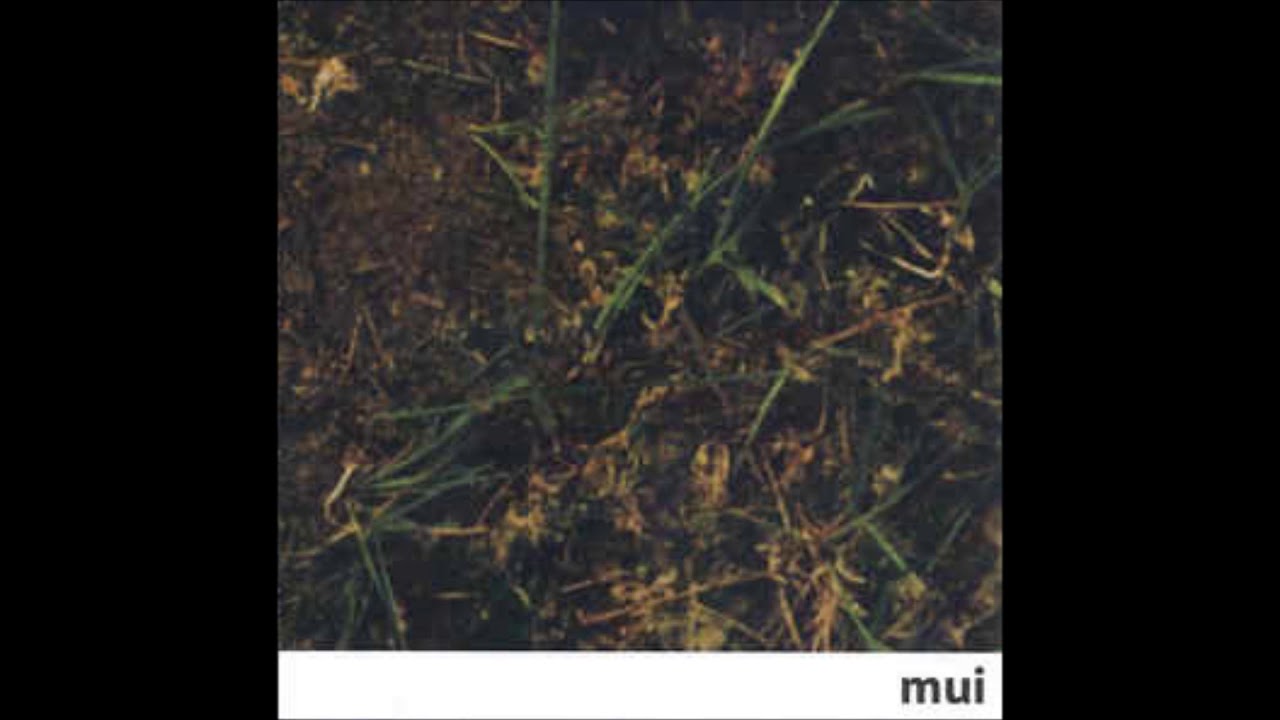 Mui   -  T_10