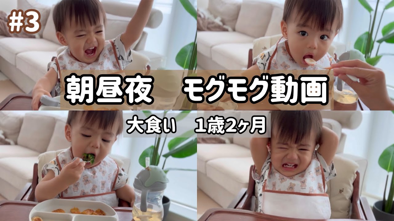 【離乳食完了期】1歳2ヶ月の1日ごはんに密着！もぐもぐ動画❤️