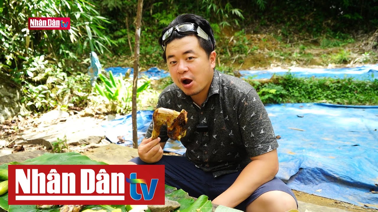 Thác K50: Nàng tiên giữa đại ngàn Tây Nguyên hùng vĩ | Điểm đến