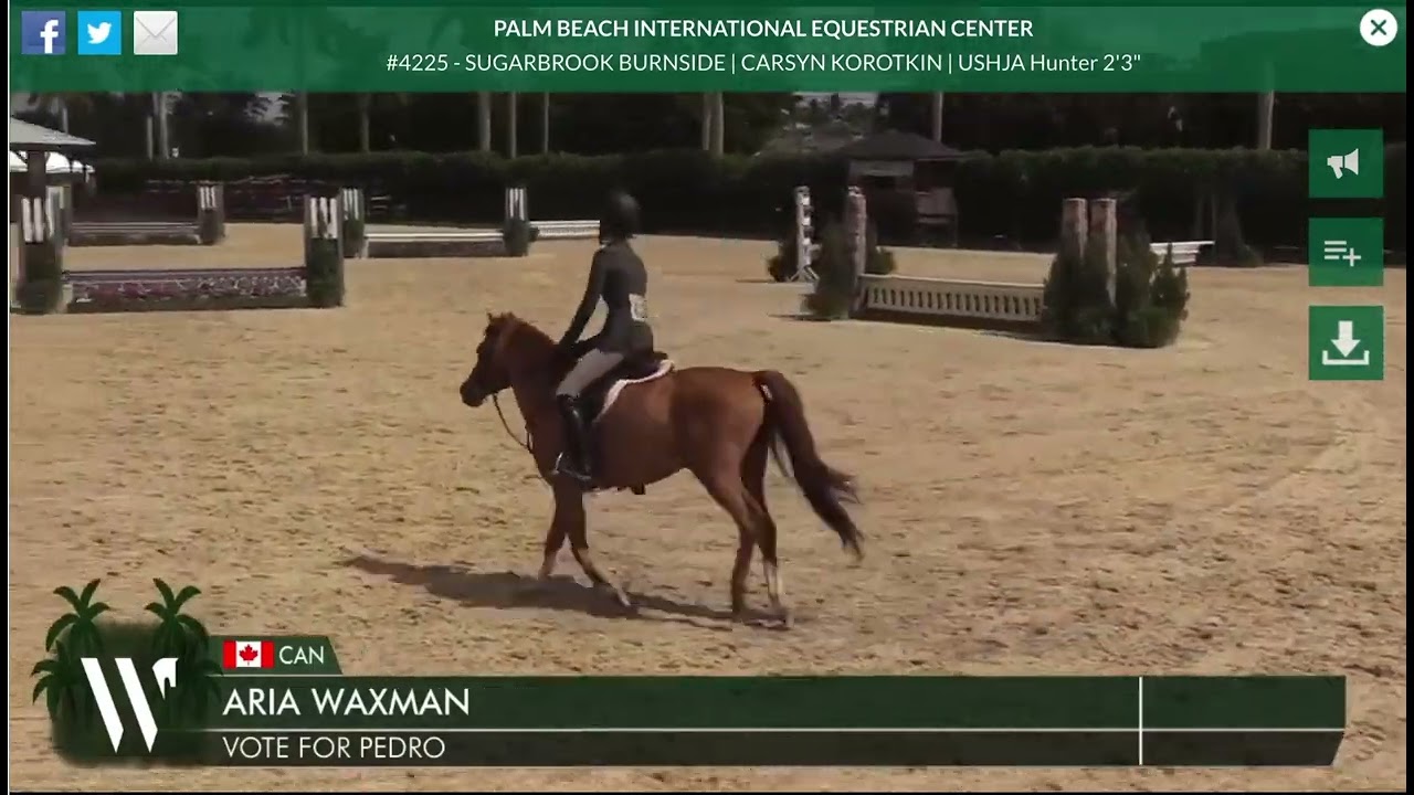 Sugarbrook Burnside & Carsyn Korotkin USHJA Hunter 2’3” 🥇WEF 10, 2026 (Small Pony Reunion Ride!)