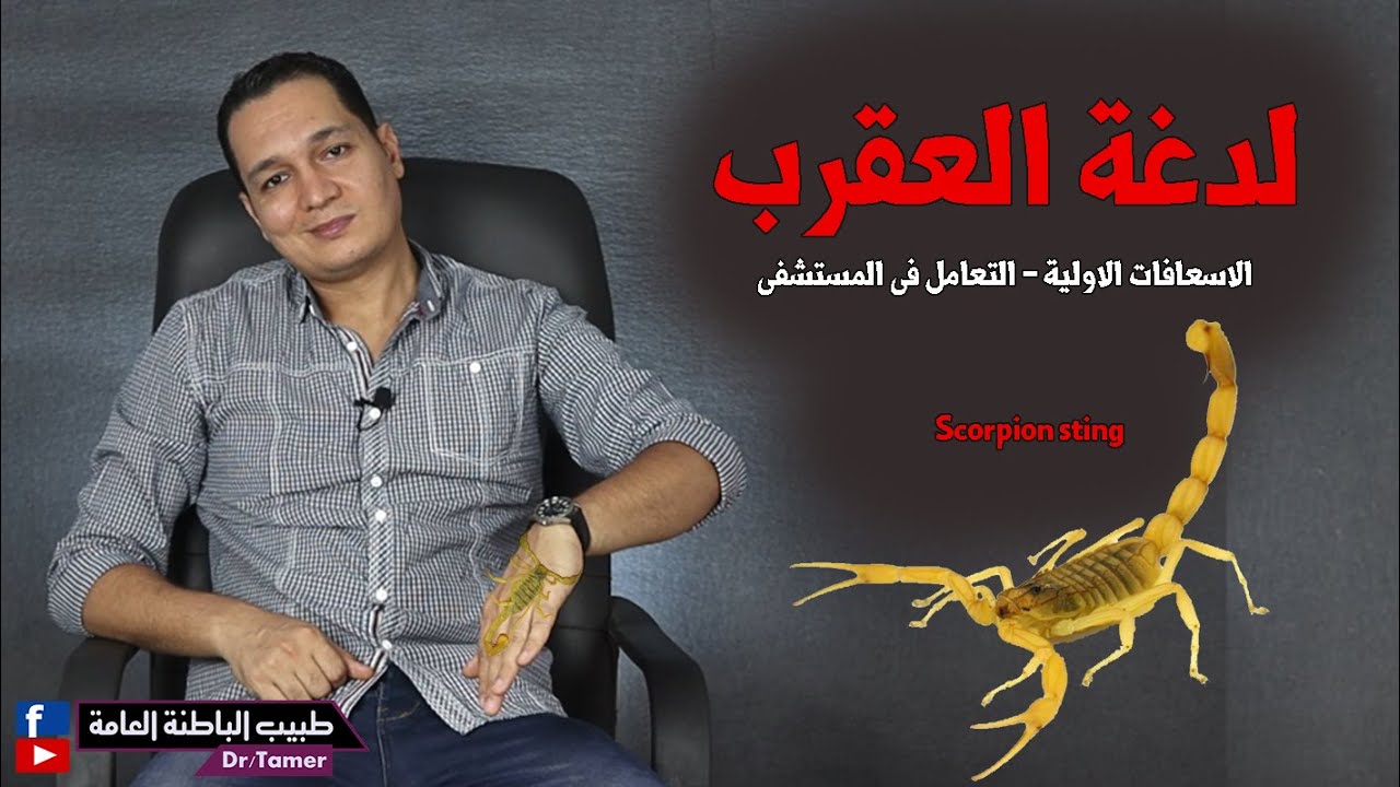 لدغة العقرب والاسعافات الاولية والتعامل معها فى المستشفى / Scorpion sting