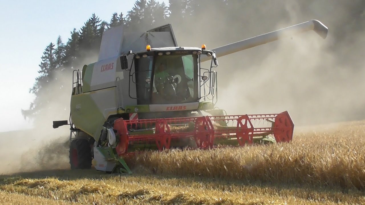 Im Getreidestaub - Claas Tucano 450 mit C540 Klappschneidwerk - Lohndrusch Liegl