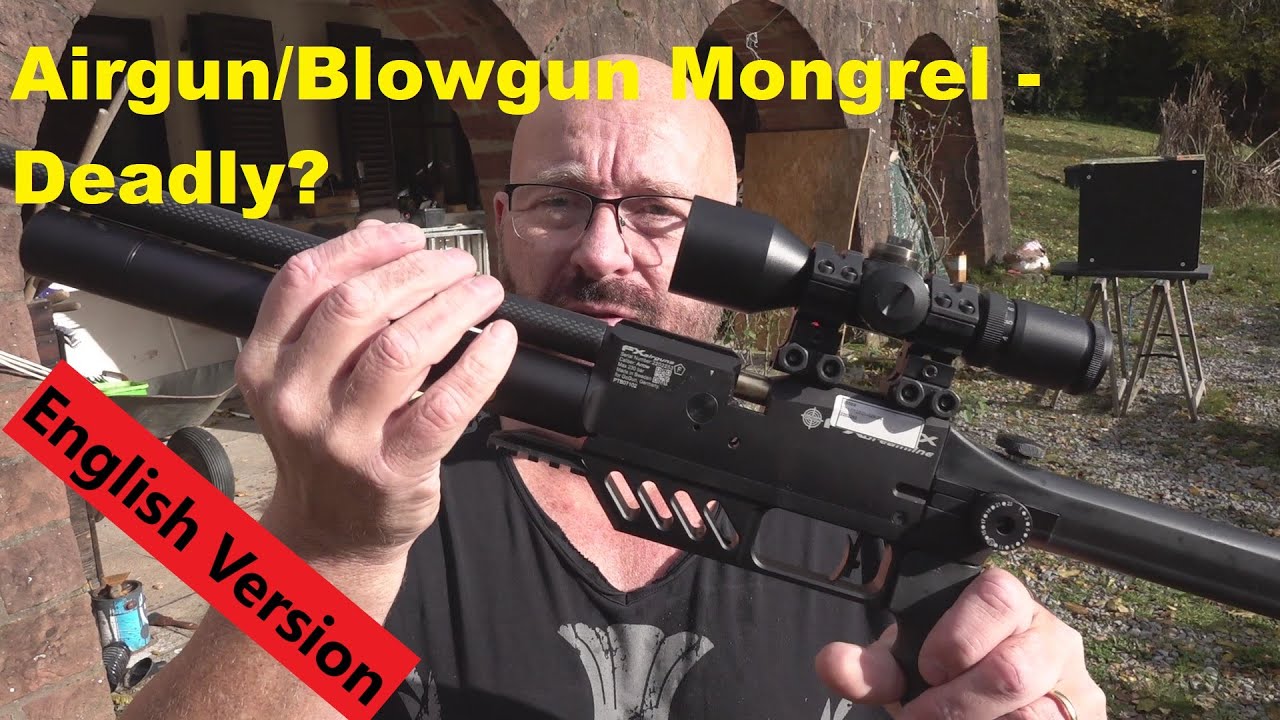 Blowgun darts shot from an airgun? WOW.