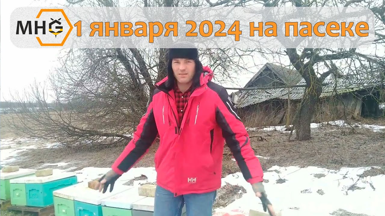 1 января 2024 на пасеке