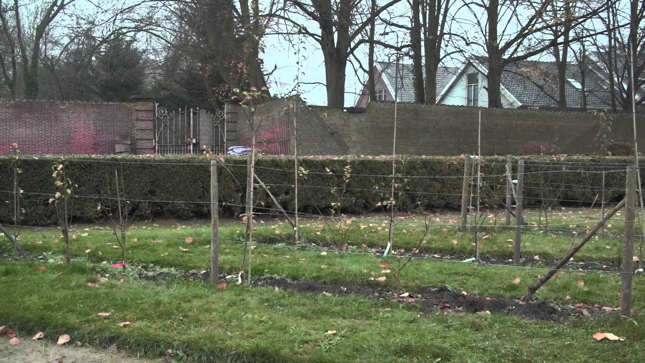 De fruitmuren van Berbice