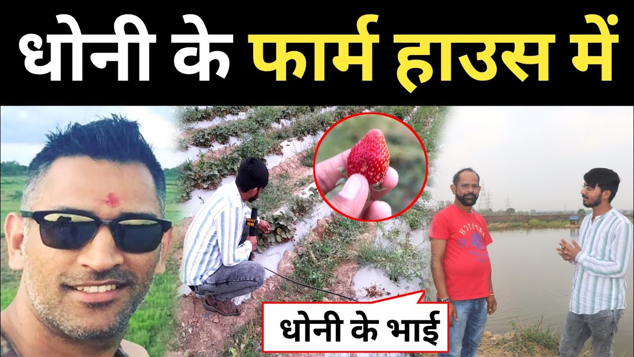 पहुंचा धोनी के फार्म हाउस रांची में, कैसे खेती करते माही? MS Dhoni Farm House Ranchi