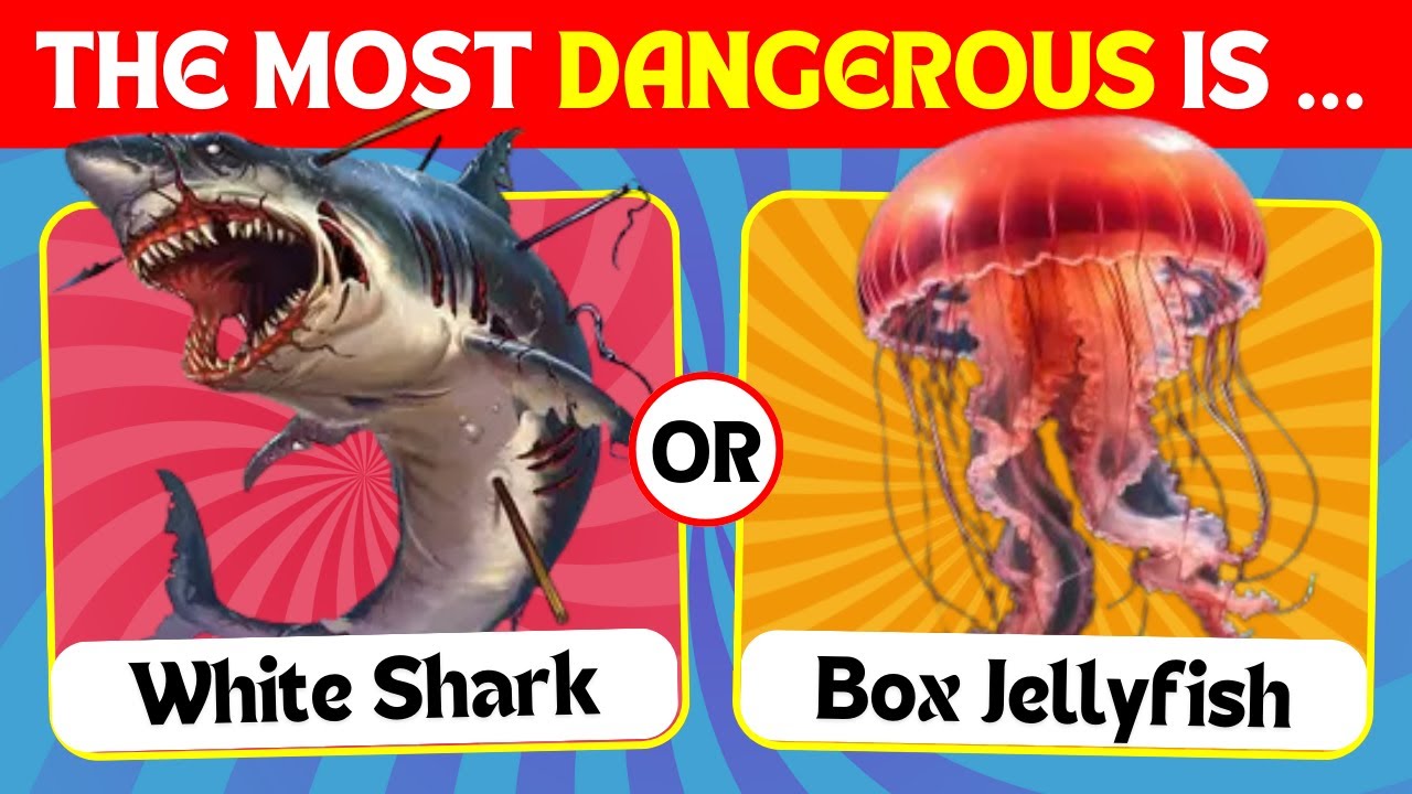 50 Sea Animal Showdowns 🌊🐠 | Ultimate Marine Life Quiz Challenge!