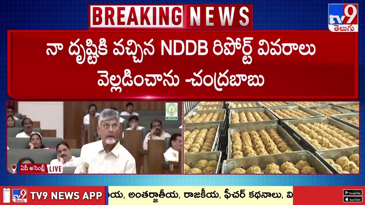 CM Chandrababu Reaction on Adulterated Ghee : ప్రతీ ఒక్క భక్తుడికి ఇదే నా విజ్ఞప్తి  - TV9