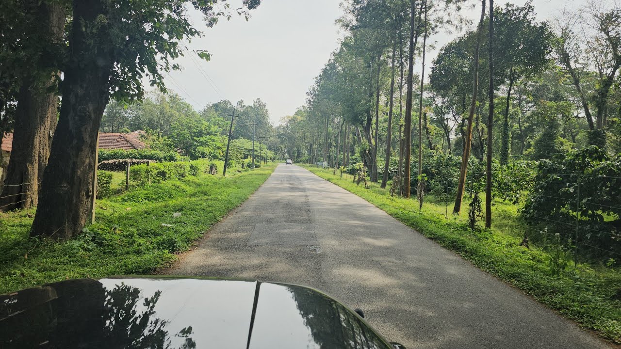 (#306) 🌍 250 ಎಕರೆ ಚಿನ್ನದಂಥ ಕಾಫಿ ಎಸ್ಟೇಟ್. state highway property.superb location full town property👌🏻