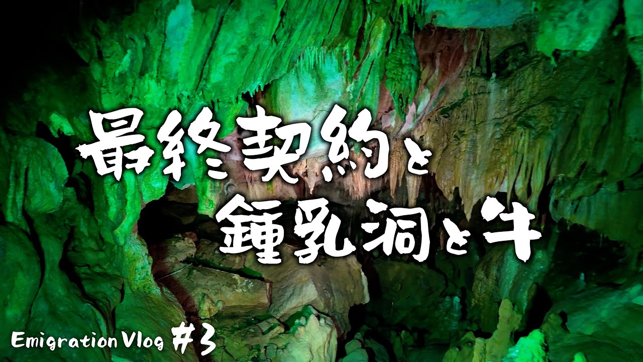 【移住】人生初の鍾乳洞→物件最終契約→牛たちとの大切なひととき。#3
