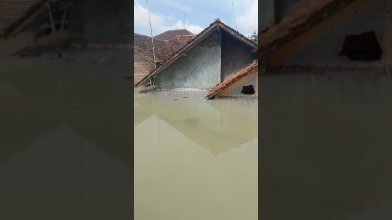 #Short #Viral #Demak #Banjir  ~ Tragedi Demak Karang anyar banjir besar 2024😭😭