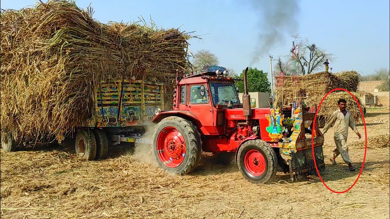 Powerful Belarus 510.1 Tractor | fully loaded sugarcane trailer at difficult place | Tractor trolley