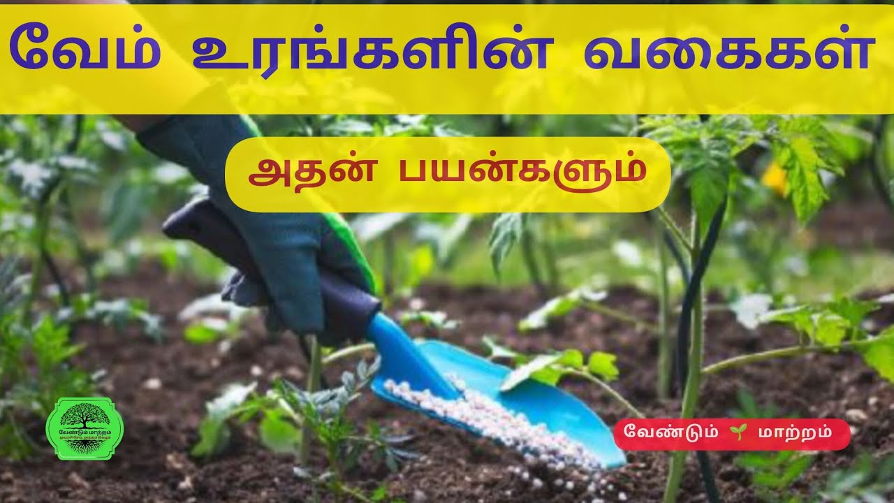 வேம்‌ (VAM) உரங்களை பற்றி தெரிந்துக் கொள்ளுங்கள்