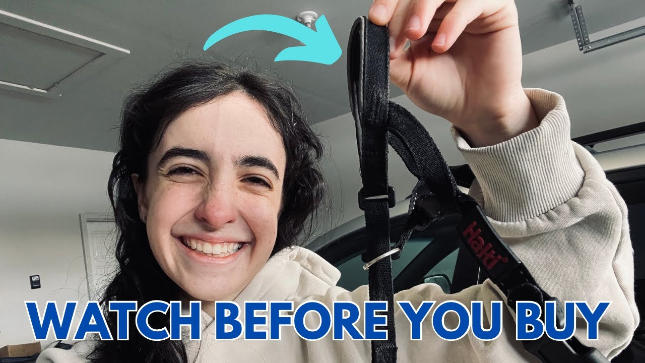 Honest Review of HALTI Headcollar