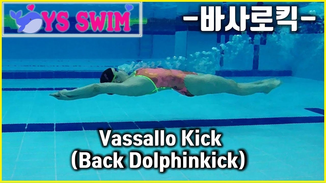 수영 배영 바사로킥(백돌핀킥) 이 뭐지요? :  Vassallo Kick (Back Dolphin Kick)