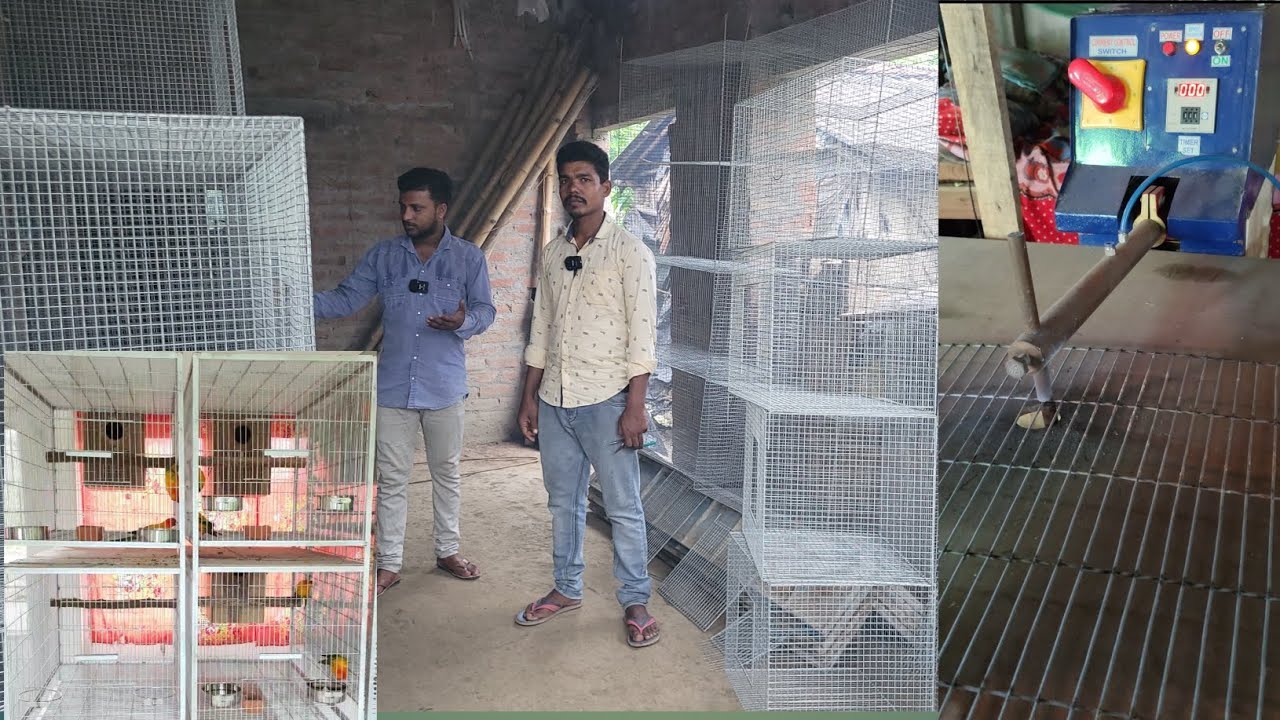 Make a Bird Cage Very Easily / Birds Cage For Sale in Kolkata. Bird Cage Price in india