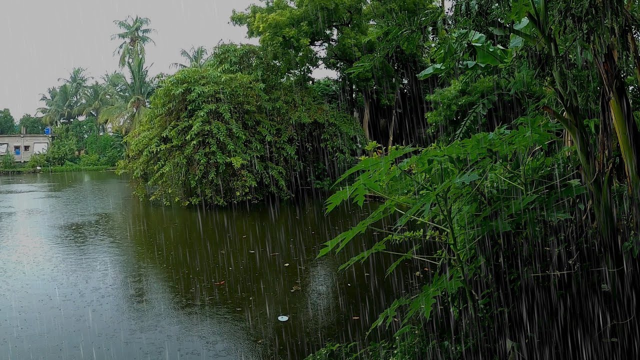 Walking in the Rain | Rain Walk ASMR | ASMR Rain Sounds for Deep Sleep