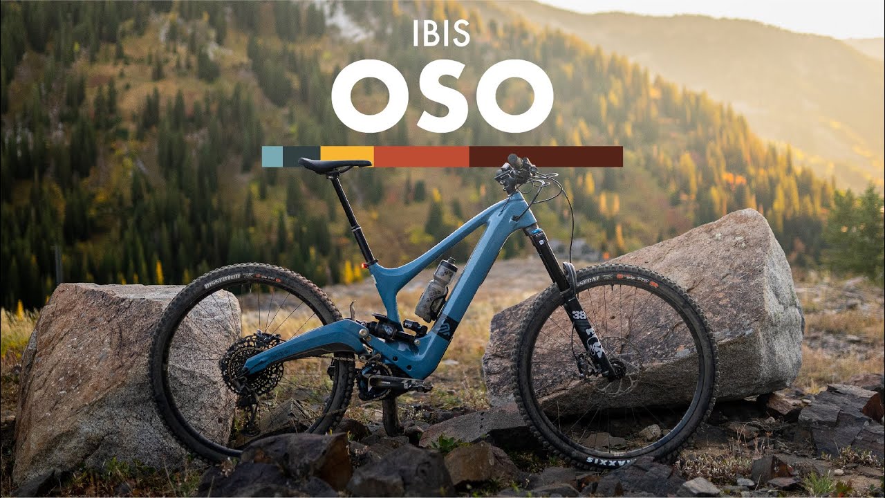 Ibis Oso Review: Is it Worth the Wait?