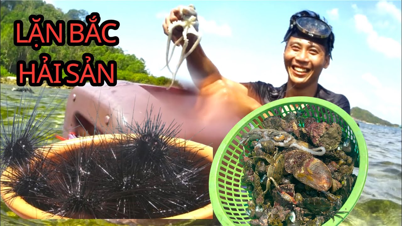 Lặn Theo San Hô Bắc Nhiều Hải Sản // Săn Bắt Biển Tây