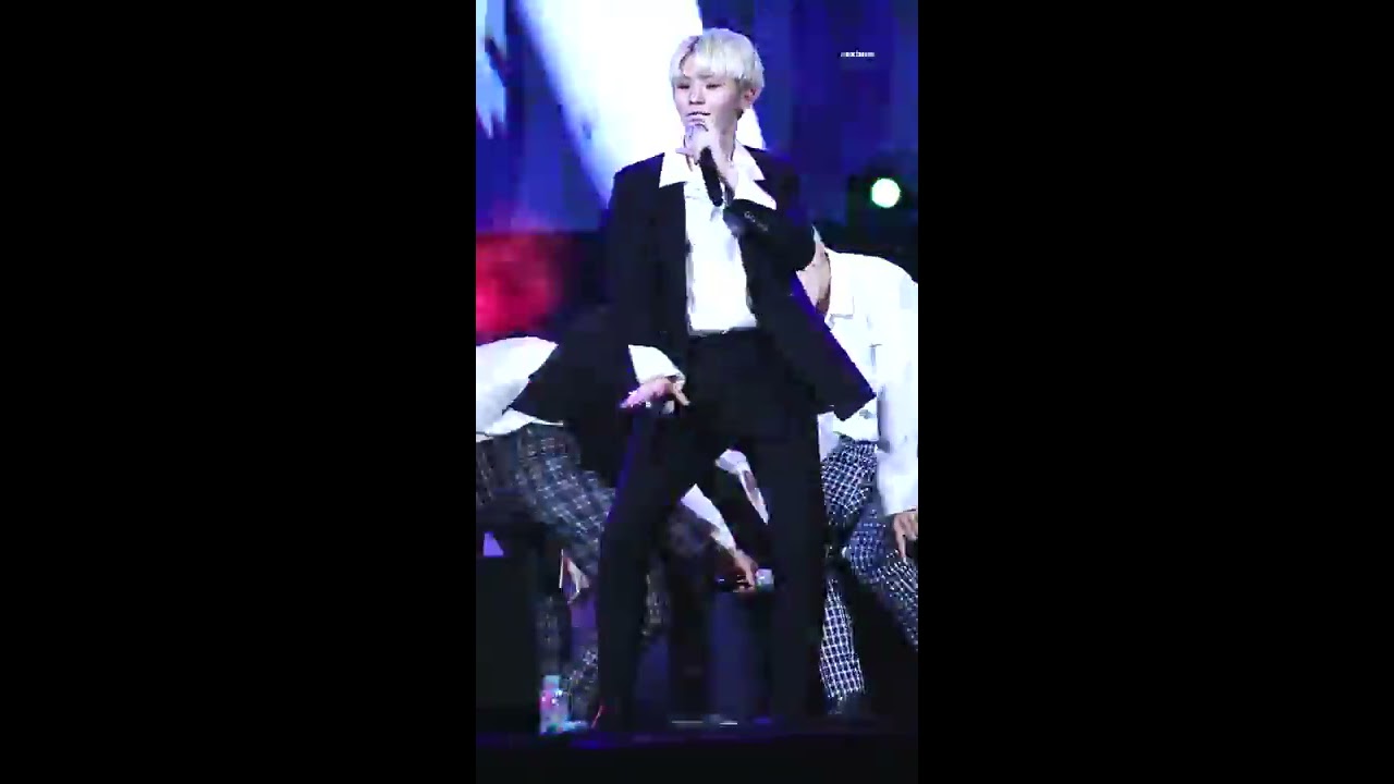 170708 세븐틴 파크콘서트 - Crazy in Love 우지 직캠 (세로ver.) ‬