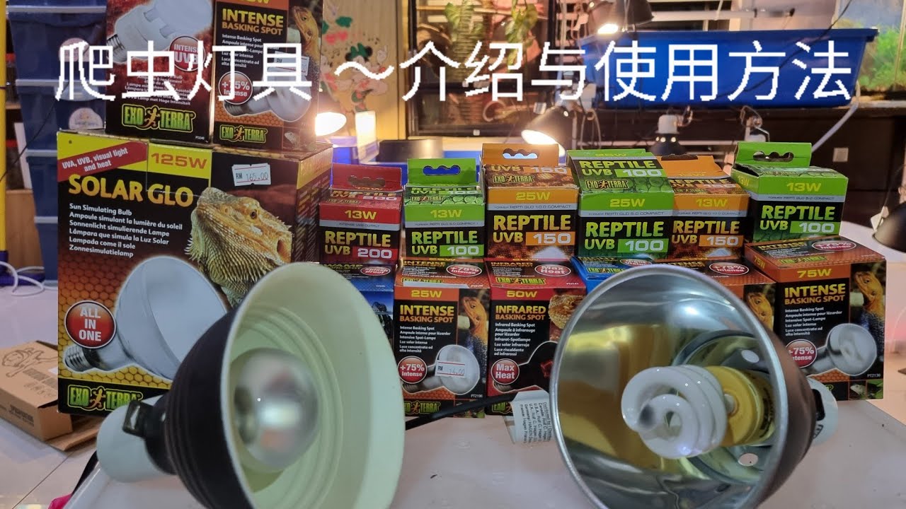 爬虫灯具～介绍与使用方法