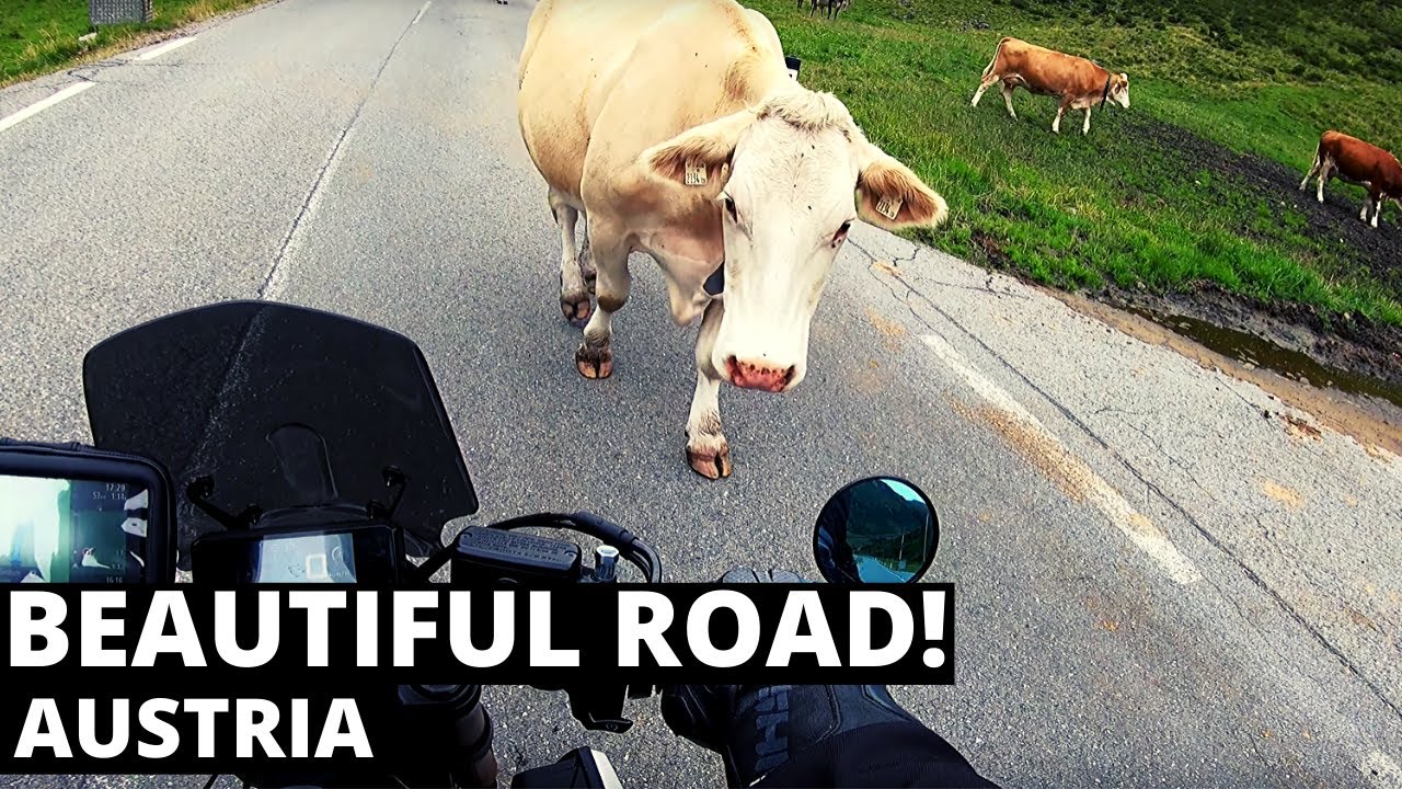 4K | Honda CB650R | Quickshifter & Akrapovic Sound | Austria L13 Road