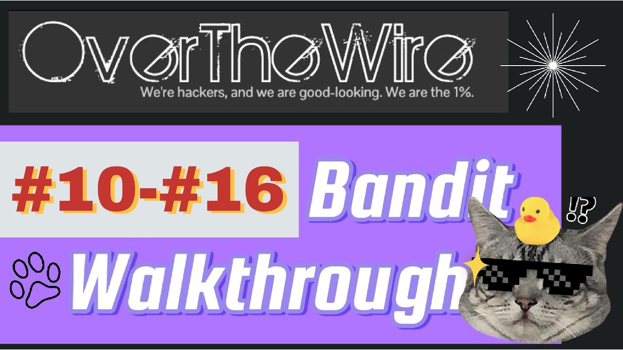 2026 OverTheWire Bandit CTF Walkthrough | Level 10 - Level 16