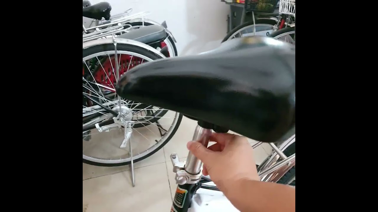 Xe đạp điện Nhật nguyên zin chính hãng tặng kèm hệ thống trợ lực Shimano Nexus cao cấp 3 số 