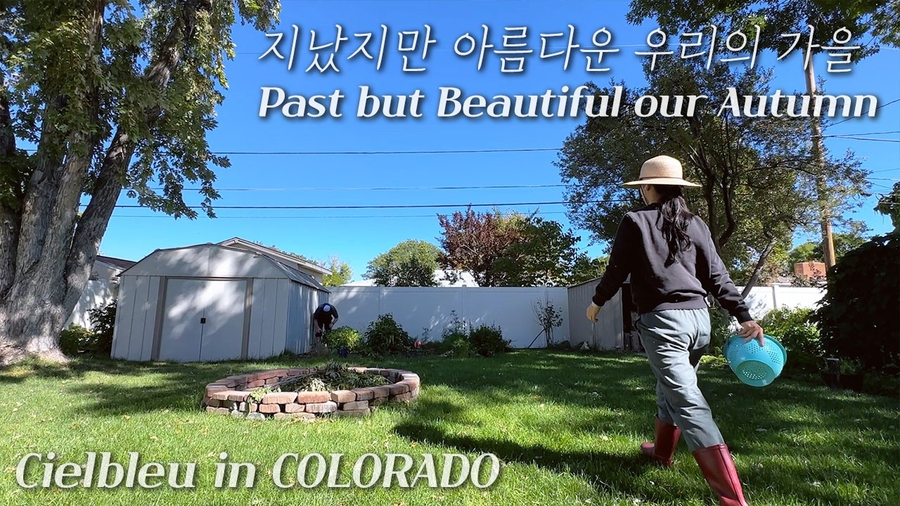 74 I 지났지만 소중한 기억들#2📝 지나고나니 더 아름다웠던 우리의 가을🍂🍁 미국주택일상🏡 콜로라도 브이로그🎞️