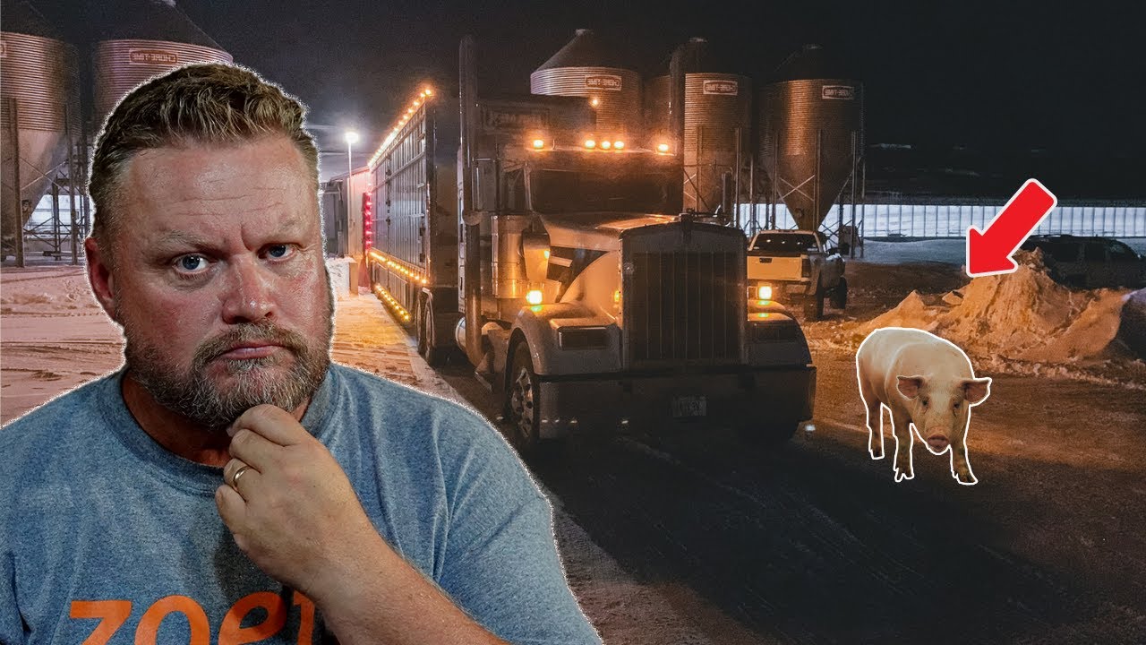 Feeding The World One Pig At A Time