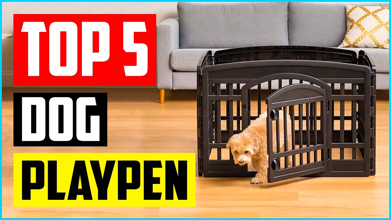 Top 5 Best Dog Playpen of 2021 Review