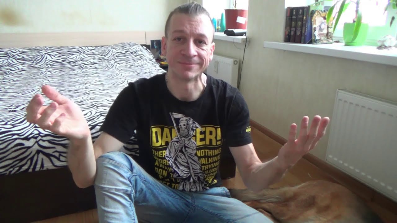 Немецкая овчарка: описание породы, стоит ли заводить (плюсы и минусы).