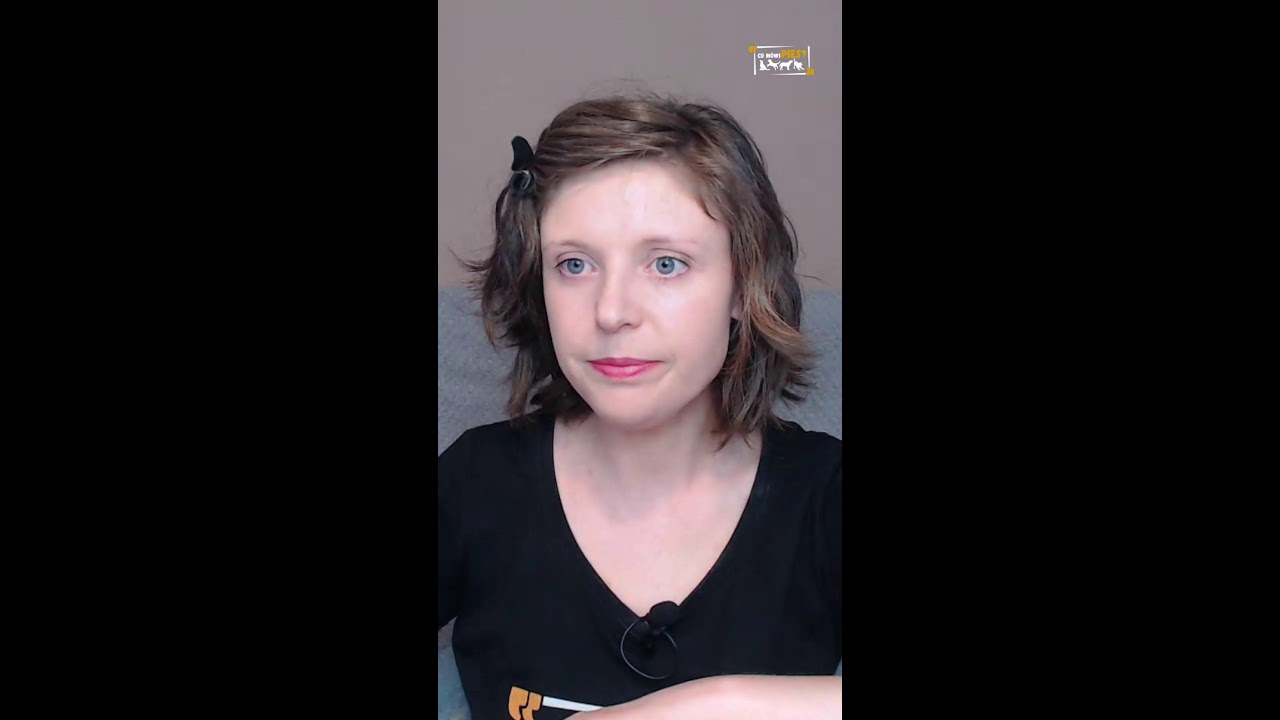 🐾 Dlaczego pies nagle zastyga i kładzie się na widok innego psa?