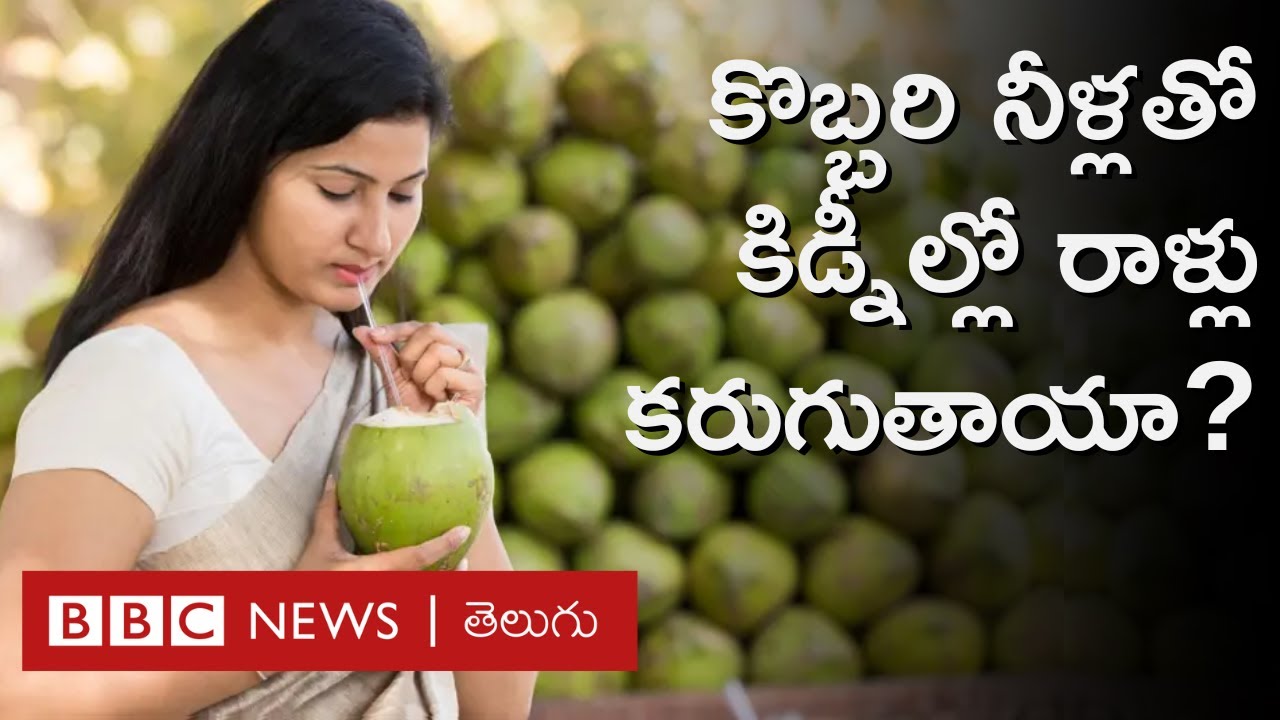 Coconut Water హ్యాంగోవర్‌ను తగ్గిస్తుందా? Kidney Stonesపై కొబ్బరినీళ్ల ప్రభావం ఉంటుందా? | BBC Telugu