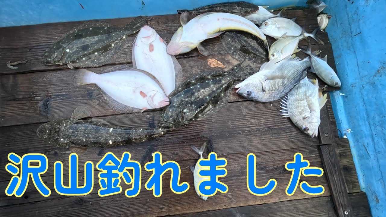 2025 11月の浜名湖ボートシーバス